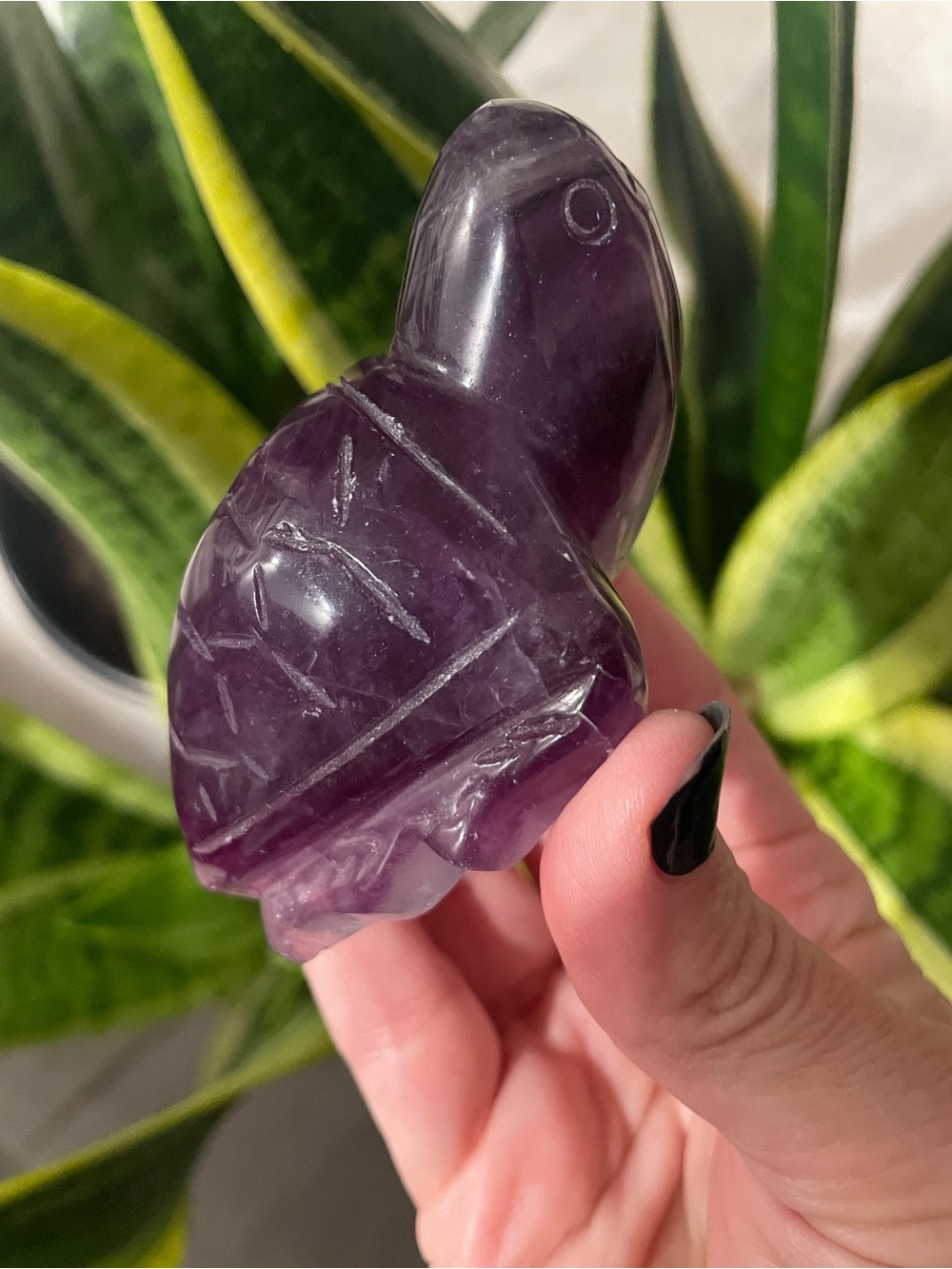 Large purple fluorite polished crystal sea turtle